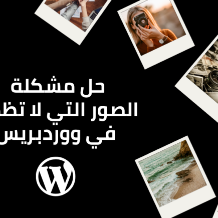 wordpress images not showing