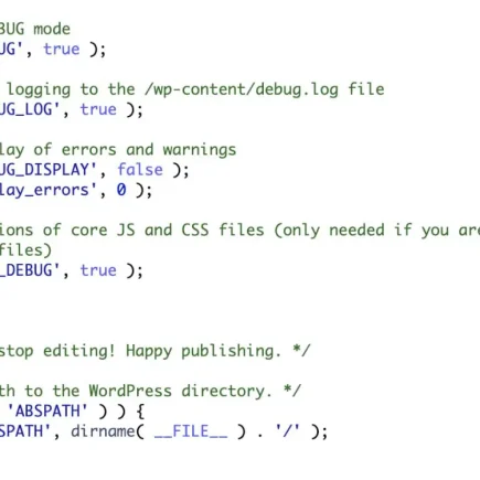 wp-config-debug-code.jpg